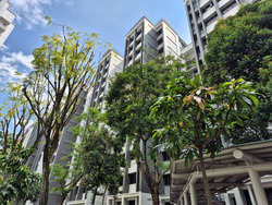 Blk 575 Woodlands Drive 16 (Woodlands), HDB 4 Rooms #573171971